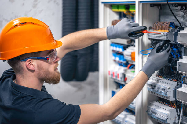 Best Ceiling Fan Installation Electrician  in Wliamsvle, IL